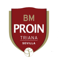 Balonmano Proin Triana